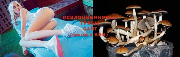 COCAINE Белокуриха