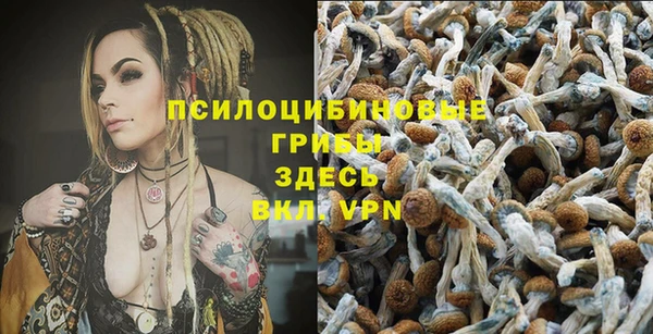 МДПВ Белоозёрский