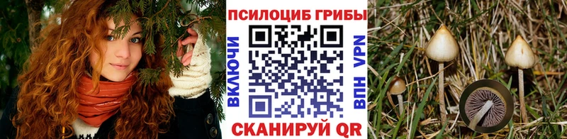 Галлюциногенные грибы мухоморы Новотитаровская